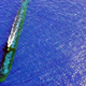 Illustration for article titled Cookie-Cutter Sharks Have Been Known to Attack Submarines